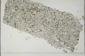 Plane Polarized, S51752