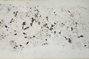 Plane Polarized, S51756