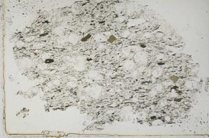 Plane Polarized, S51762