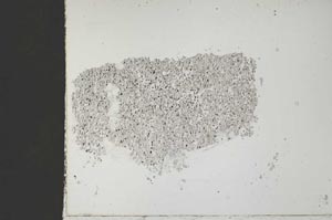 Plane Polarized, S51764