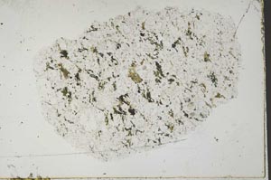 Plane Polarized, S51765