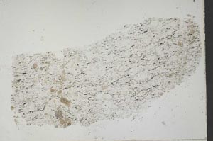 Plane Polarized, S51766