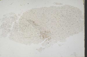 Plane Polarized, S51773