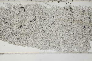 Plane Polarized, S51775