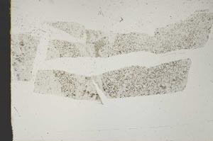 Plane Polarized, S51781