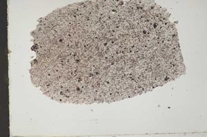 Plane Polarized, S51793