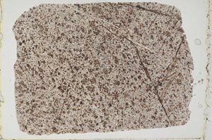 Plane Polarized, S51813