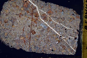 Cross Polarized, S51831