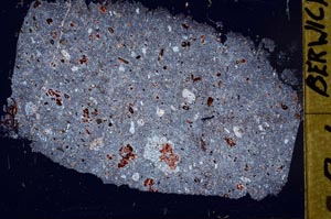 Cross Polarized, S51836