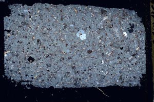 Cross Polarized, S51839