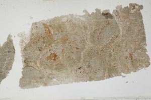 Plane Polarized, S51845