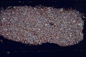 Cross Polarized, S51846