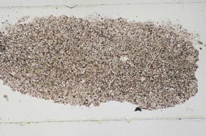 Plane Polarized, S51846