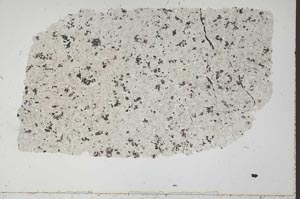 Plane Polarized, S51854