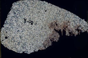 Cross Polarized, S51856