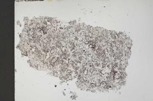 Plane Polarized, S51862