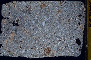 Cross Polarized, S51875