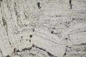 Plane Polarized, S51921