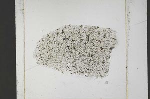 Plane Polarized, S51924