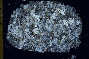 Cross Polarized, S51925