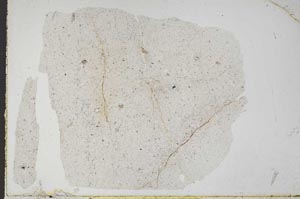 Plane Polarized, S51927