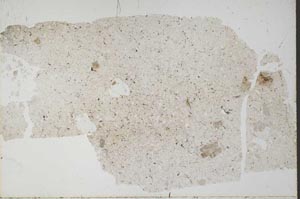 Plane Polarized, S51930
