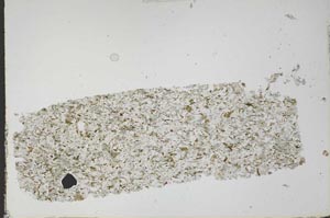 Plane Polarized, S51932