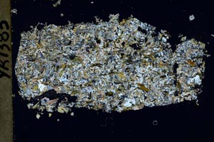 Cross Polarized, S51933