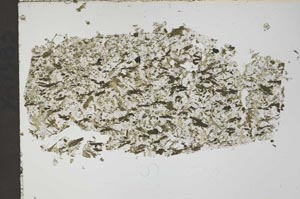 Plane Polarized, S51933