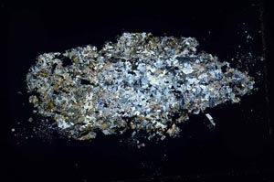 Cross Polarized, S51934