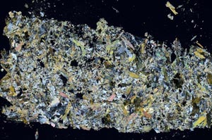 Cross Polarized, S51935