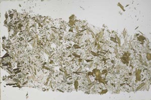 Plane Polarized, S51935