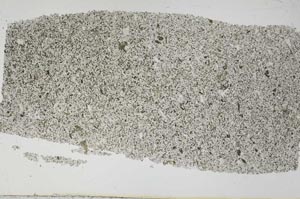 Plane Polarized, S51937