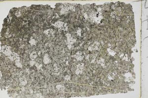 Plane Polarized, S51944