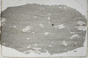 Plane Polarized, S51945