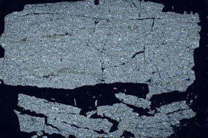 Cross Polarized, S51946