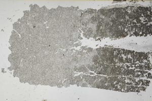 Plane Polarized, S51948