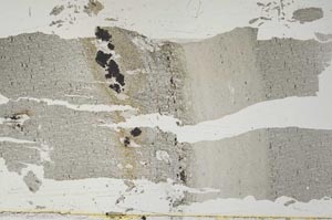 Plane Polarized, S51949