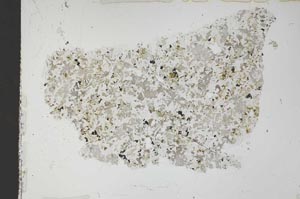 Plane Polarized, S51950