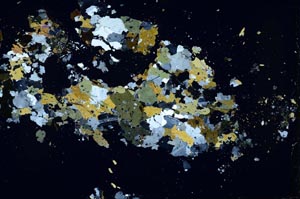 Cross Polarized, S51966