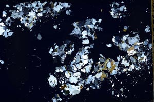 Cross Polarized, S51968