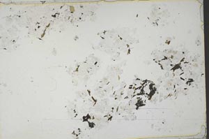 Plane Polarized, S51968