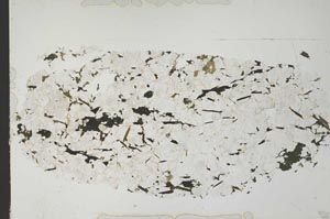 Plane Polarized, S51968/A