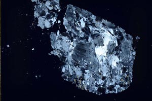 Cross Polarized, S51969/A