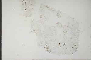 Plane Polarized, S51969/A