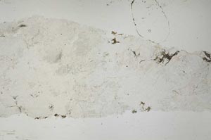Plane Polarized, S51971