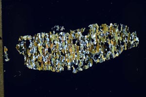 Cross Polarized, S51975