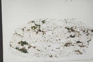 Plane Polarized, S51976