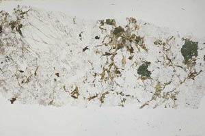 Plane Polarized, S51977