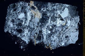 Cross Polarized, S51979